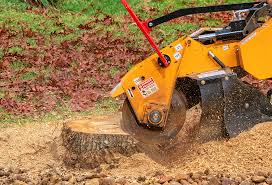 Lawn Grading and Leveling in Lake Cassidy, WA